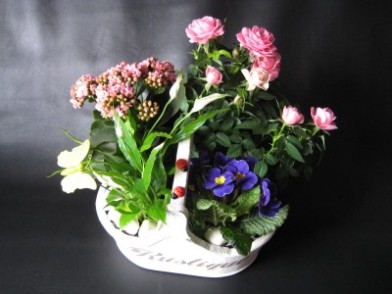 Rustic Planted Basket